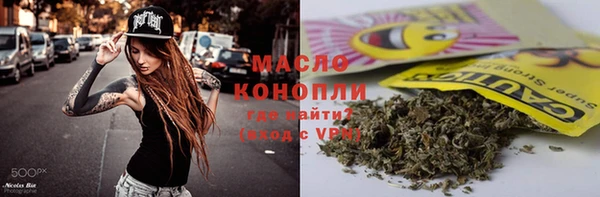 дмт Дмитров