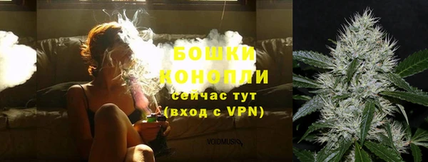 мет Ельня
