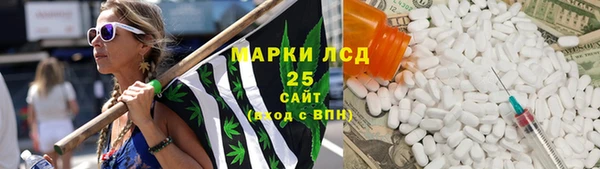 дмт Дмитров