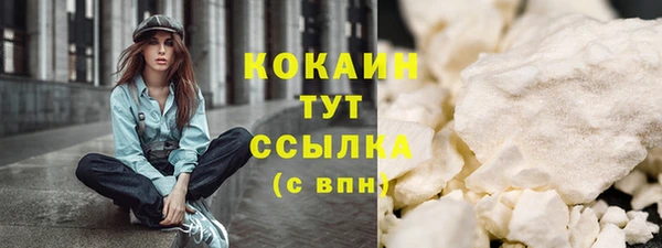 мет Ельня