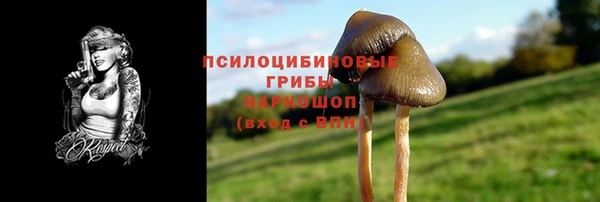 мет Ельня