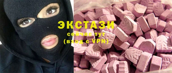 мет Ельня