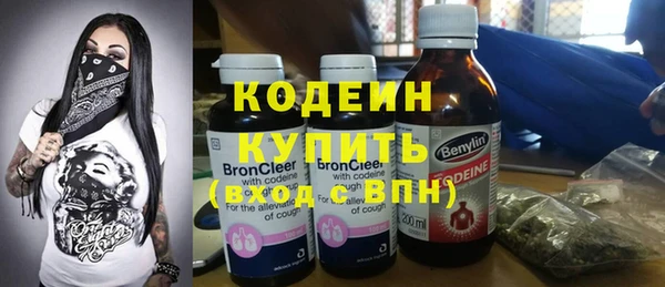 мет Ельня