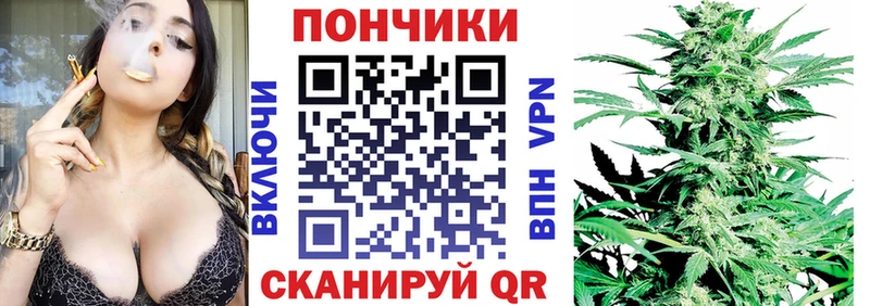 закладка  Вельск  Конопля гибрид 